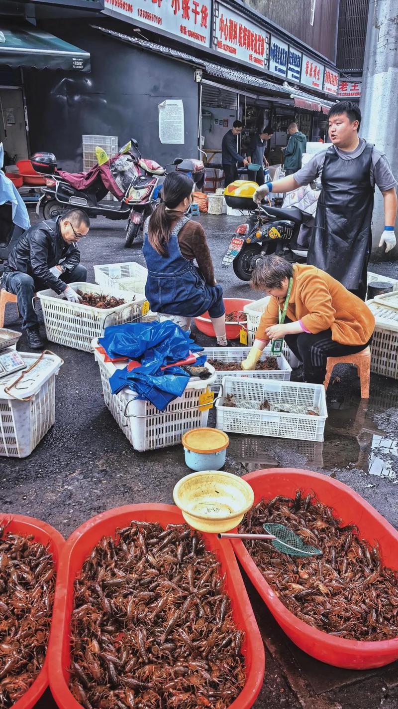 盱眙商贸公司的活力与魅力